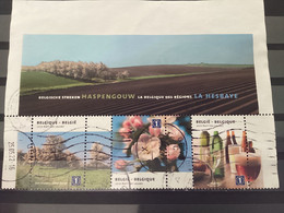 België / Belgium - Blok Haspengouw 2010 - Used Stamps