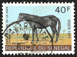 SENEGAL  1971  -   YT  343 -  Cheval Mbayang  -  Oblitéré - Senegal (1960-...)