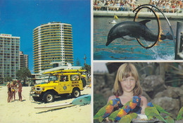 Australien - Beach Patrol - Surfers Paradise - Jeep - Dolpin - Nice Stamp "printed" - Unclassified