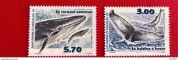 SAINT PIERRE ET MIQUELON SPM 2001  - 2 V Neuf MNH ** Baleine Rorqual YT 707 708 Faciale 1,33 € Cote 6,2 € - Unused Stamps