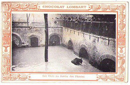 007, Chocolat Lombart, Carte Postale, 75 Paris, Les Ours Des Jardins Des Plantes - Advertising