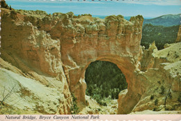 Natural Bridge, Bryce Canyon National Park, Utah, U.S.A. - Bryce Canyon