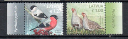 LETTONIE - LATVIA - 2021 - OISEAUX - BIRDS - VÖGEL - - Latvia