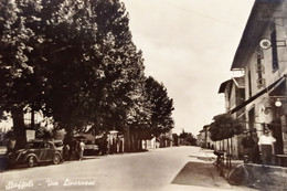 Cartolina - Staffoli ( Isernia ) - Via Livornese - 1950 Ca. - Isernia