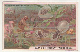(Chromos) 001 2, Cacao & Chocolat Van Houten, L'Araignée Aquatique Et Son Nid Scaphandrier - Van Houten