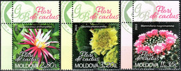 Moldova 2022 "Flora.Cactus Flowers Of The Chisinau Botanical Garden" 3v Quality:100% - Moldova