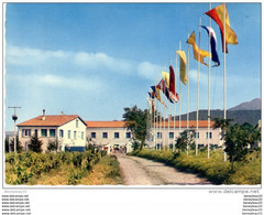 CPSM Réf.G713) ARGELÈS-sur-MER (PYRÉNÉES ORIENTALES 66) LA CÔTE VERMEILLE - Le Chemin D'accès à La Maison Familiale - Argeles Sur Mer