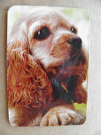 Small Pocket Calendar 2005 Lithuania Animals Dog Chien - Small : 2001-...