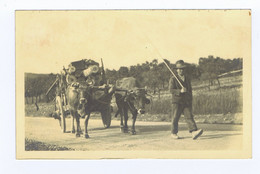 F1010) Portugal RARO Amador Fotográfico Região Castelo Branco Carro De Bois Costumes Portugueses C. 1939 (cansado) - Castelo Branco