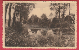 Berzée - Les Etangs ( Dits Bayau ) -1945 ( Voir Verso ) - Walcourt