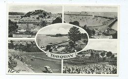 Postcard  Devon Multiview Rp Torquay Harvey Barton  Unused - Torquay
