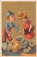 Chromo Dorée - Enfant - Quelle Est Le Fruit Qui Lorsqu'on Le Mange Entre En Convelescense ? (calendrier 1891 Au Verso) - Small : ...-1900