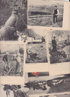 Delcampe - Lot 3025 De 10 CPA Paysans Métiers Campagne Déstockage Pour Revendeurs Ou Collectionneurs - 5 - 99 Karten