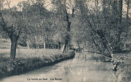 LA VALLEE DU GEER  LES SAULES     -  2 SCANS - Hasselt