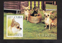 Dogs - (Cuba) MNH (3W1546) - Perros