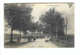 Schilde  MACADAM   SCHILDE 1907  Phot. Hoelen, Cappellen - Schilde