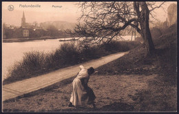 +++ CPA - PROFONDEVILLE - Paysage // - Profondeville