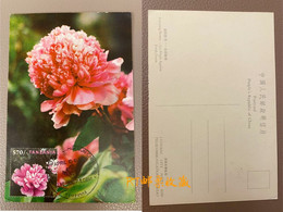 Tanzania 2009 Postcards Flowers Peony Festival Plants Flowers Flora Nature Flower Plant Stamp CTO Post Card - Tanzanie