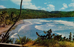 TOBAGO   ( AMERIQUE _ ANTILLES )  GREETINGS FROM HOPE BAY TOBAGO - Trinidad