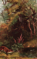 "Harry Payne. Woodland Glades. Anticipation" Tuck Oilette Postcard # 9549 - Tuck, Raphael