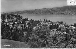 Wädenswil - Generalansicht - Wädenswil