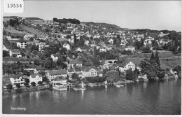 Flugaufnahme Herrliberg - P. Zaugg - Herrliberg