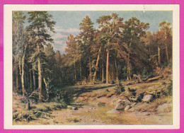 278768 / Yelabuga, Russia Painter Art Ivan Shishkin - Pinery ( Conifers ) Pine Tree Mast Forest In Vyatka Province. 1872 - Arbres