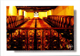 (1 J 23) France - Château Ciran Winery - Caves - Tonneaux - Chais De Barrique - Vignes