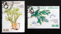 GREENLAND 2013 Flora Plants  Minr.643-44      (lot H 38) - Usados