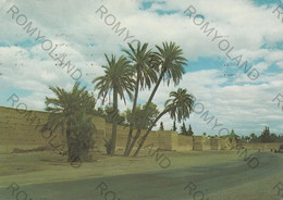 CARTOLINA  MARRAKECH,MAROCCO,BAB DOUKALA,VIAGGIATA 1983 - Marrakech
