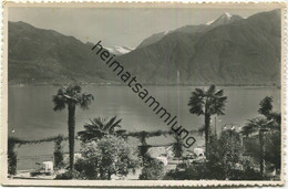 Magadino - Hotel Suisse - Familie Paganetti-Mathys - Foto-AK Gel. 1957 - Magadino