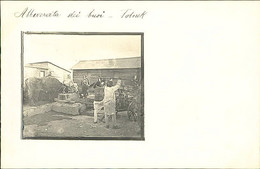 LIBIA / LIBYA - TOBRUCH / TOBRUK -  SOLDATI CON BUOI ALLA FONTANA / SOLDIERS WITH OXEX - RPPC POSTCARD 1910s (11286) - Libya