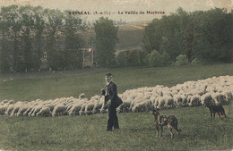 Noiseau La Vallée Du Morbras Gardien De Mouton Sheep Keeper  Hand Colored Chien Bouvier - Noiseau