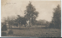 Wavre-Notre-Dame - Onze-Lieve-Vrouw-Waver - Institut Des Ursulines - Vue Dans Le Parc - 1927 - Sint-Katelijne-Waver