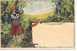 Fairytale - Conte De Fée - Märchen - Le Petit Chaperon Rouge, Little Red Riding Hood, Rotkäppchen  / Hold To Light! - Tegenlichtkaarten, Hold To Light