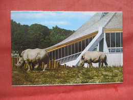 Rhinoceros  Metro Toronto Zoo.   Ref 5714 - Neushoorn