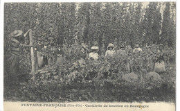 21  FONTAINE - FRANCAISE  CUEILLETTE  DE  HOUBLON  EN  BOURGOGNE - Otros & Sin Clasificación