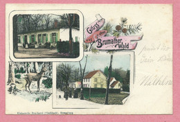 67 -  BRUMATH - GRUSS Aus Der BRUMATHER WALD - 3 Vues - Brumath