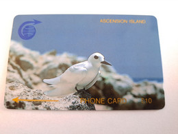 ASCENSION ISLAND   10 Pound Bird Stern  1CASC   MINT Old  Logo C&W **10721** - Isole Ascensione