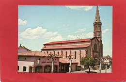 82----GRISOLLES---église Saint-Martin--voir 2 Scans - Grisolles