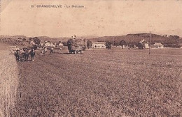 GRANGENEUVE   PRES POSIEUX                       LA MOISSON - Posieux