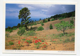 AK 075113 SPAIN - El Hierro - Landschaft Im Süden - Hierro