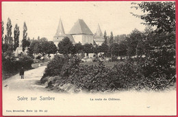 C.P. Solre-sur-Sambre  = La  Route  De  Château - Erquelinnes