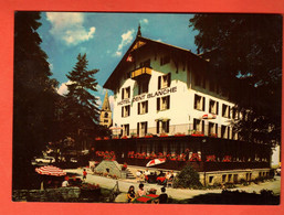 ZRP-04  Evolène Hotel De La Dent-Blanche  Terrasse  Circulé 1982  GF  Jubin - Evolène