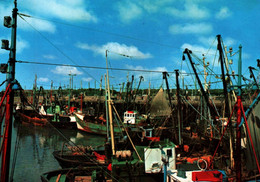 Zeebrugge - Le Port De Pêche - NV PhotoHall N° 4-10 - Zeebrugge