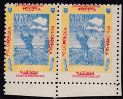 POLAND 1940's Poczta Polowa Fieldpost Label Parachutist Double Print - Altri & Non Classificati