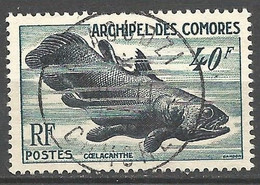 COMORES N° 13 CACHET DZAOUDZI - Used Stamps
