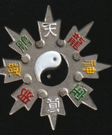 74934- Pin's.- Philosophie Chinoise. Taoïsme, Le Yin Et Le Yang - Judo