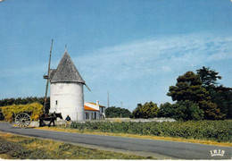 17 - Ile D'Oléron - Moulin De La Brée - Ile D'Oléron