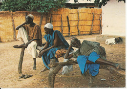 Gambia Postcard Sent To Denmark 24-2-1984 (Gambian Elder Rest At The Bantaba) - Gambia